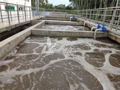 涂料企業(yè):不滿意污水處理設(shè)備設(shè)施,如何擴(kuò)建改造?長期穩(wěn)定