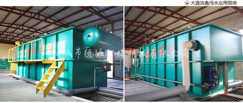 德源食品深加工產業鏈 從源頭到出口的精細化與可持續發展之路